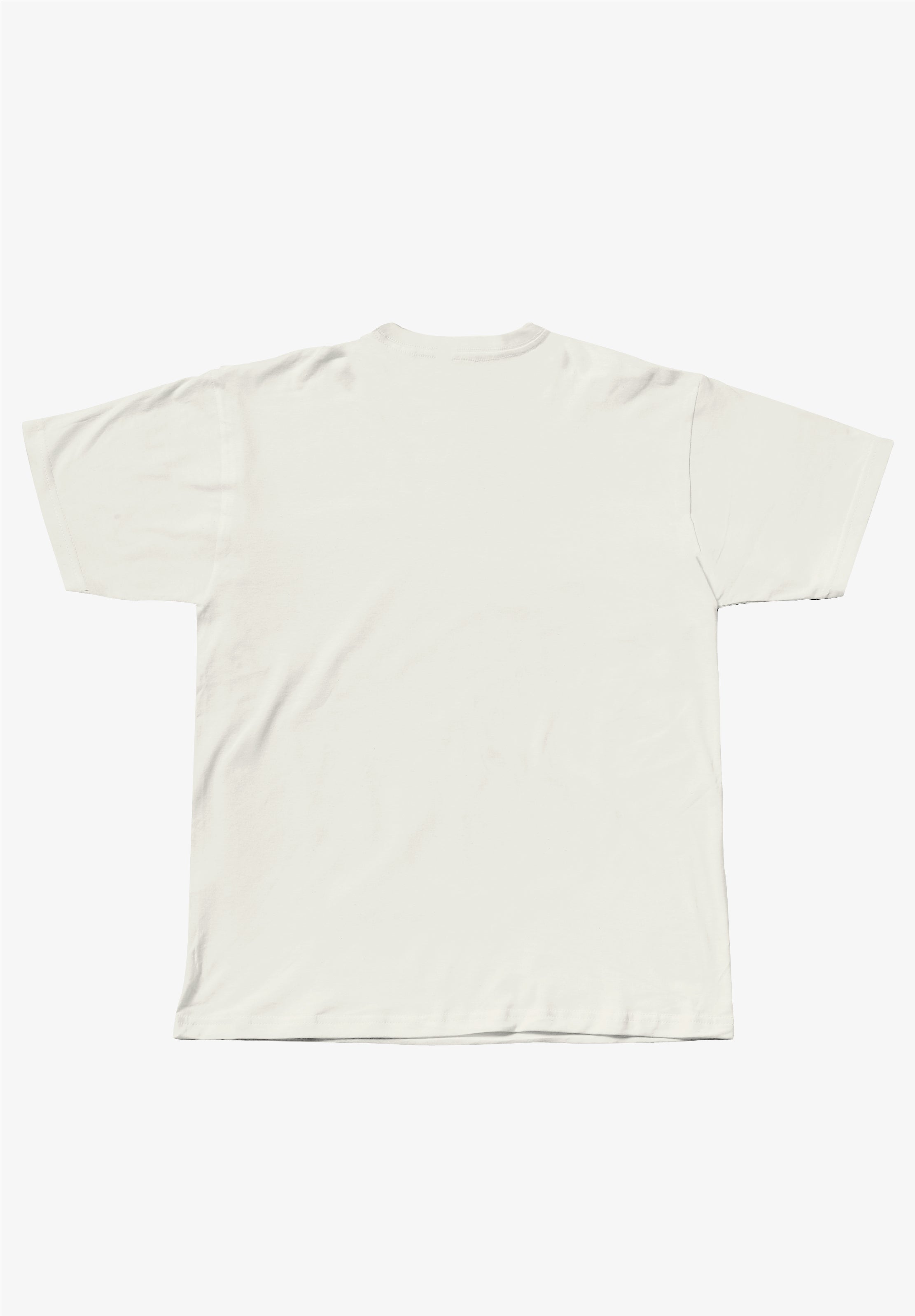 Bone Disco Staple Tee - back